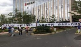 今日泉州爆料新闻最新,惊现神秘古墓，考古专家紧急介入！