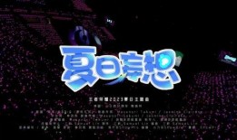 爆料冰岛最新视频,壮观景象震撼全球！